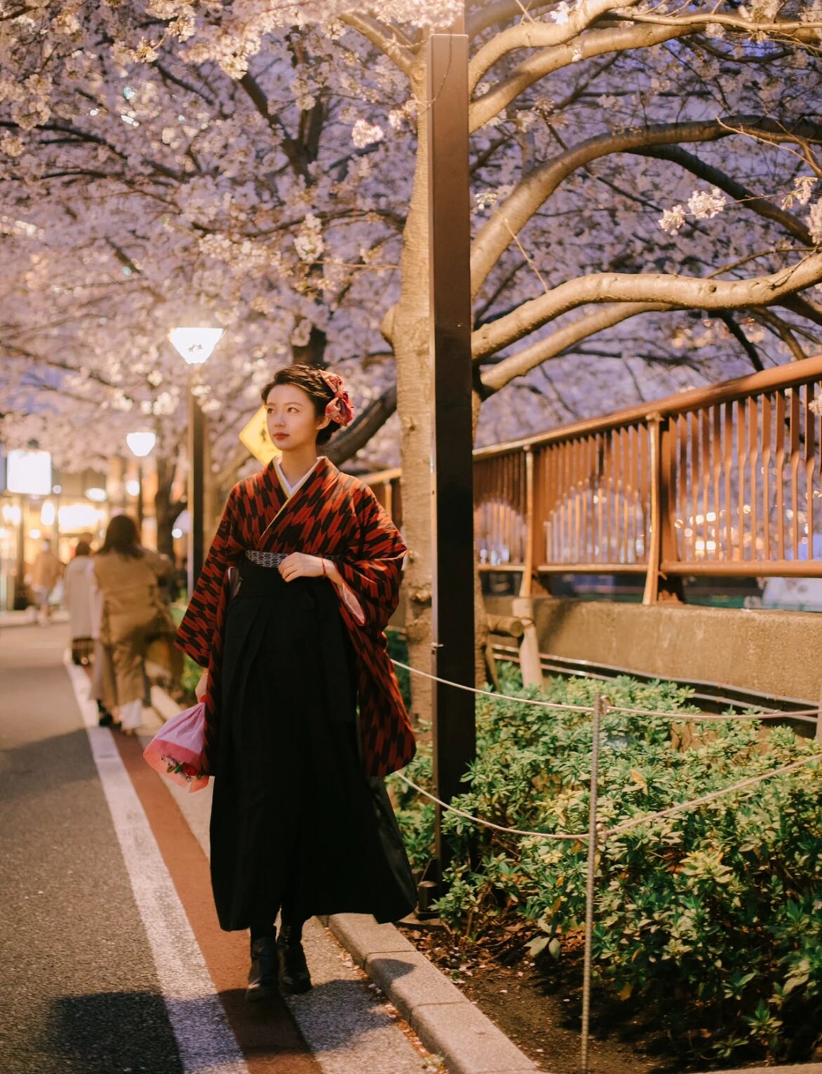 Traditional Arrow Pattern Kimono (Kofurisode/Komon Kimono),Hakama Set