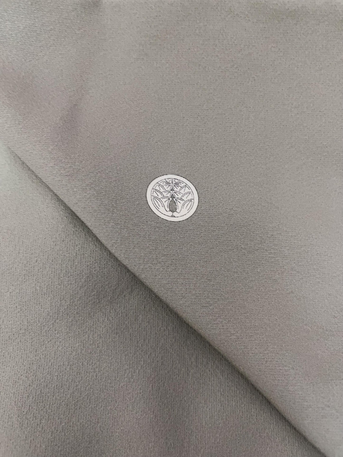 Rank A Vintage Iro Tomesode Kimono (3 kamons, family crests) with Nagoya Obi