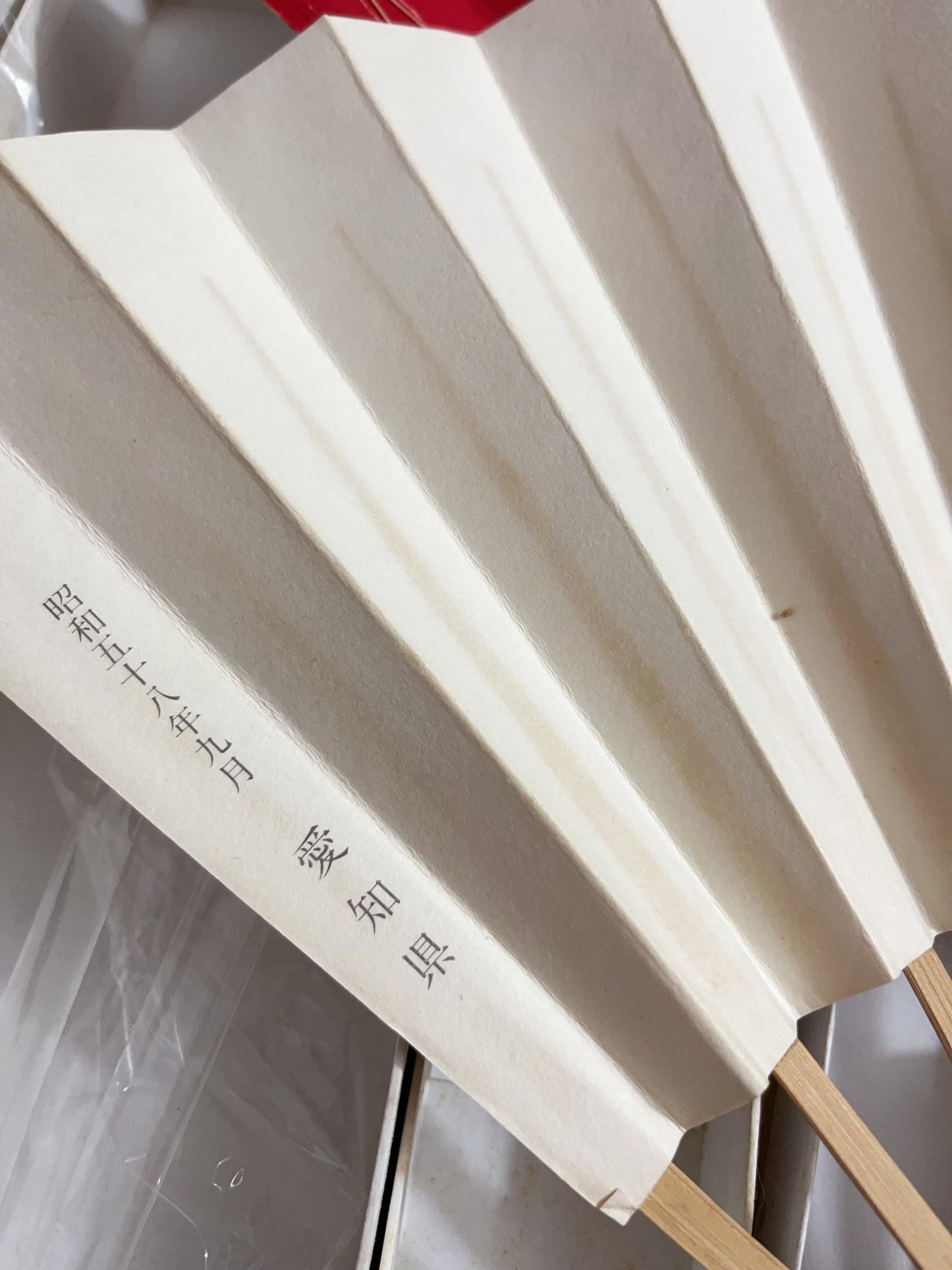 Vintage Japanese Floral Folding Fan: Odori Dance Sensu, Suisen Painting, with Box, No 566