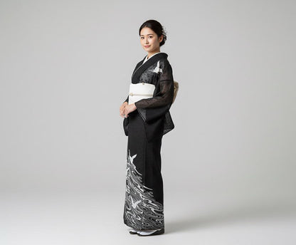 Vintage Houmongi Kimono with Crane Pattern, Ro Summer Kimono, Washable, Rank A-, B14