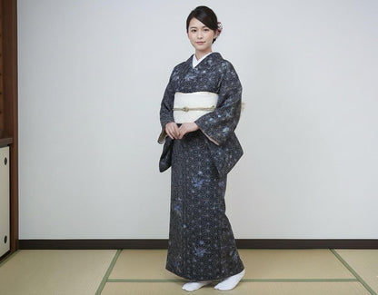 Vintage Komon, Washable Ro Summer Kimono, Butterfly Pattern, Rank A-, B13