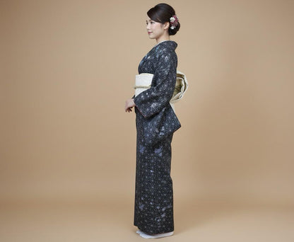 Vintage Komon, Washable Ro Summer Kimono, Butterfly Pattern, Rank A-, B13